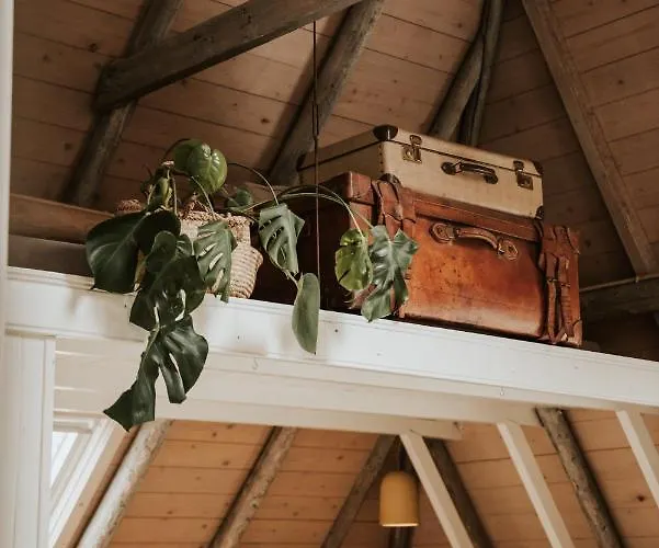 In Het Voorhuys 4* Дусбург