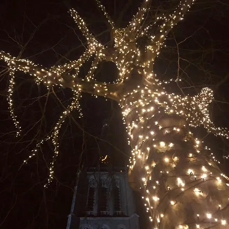 In Het Voorhuys 4* Doesburg