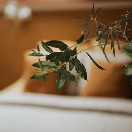 In Het Voorhuys Konukevi Doesburg