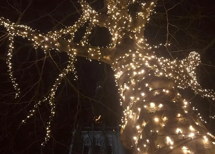 In Het Voorhuys 4* Doesburg