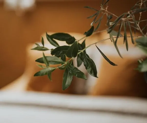 In Het Voorhuys Guest house Doesburg